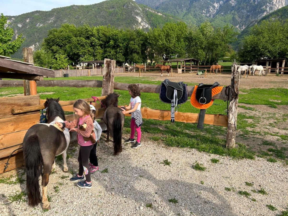 Agritur Airone Bed & Camping Левіко-Терме Екстер'єр фото